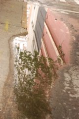 dsc_0387.jpg