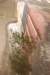 dsc_0387_small.jpg