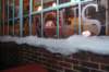 dsc_0139_small.jpg