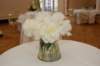 dsc_0531_small.jpg